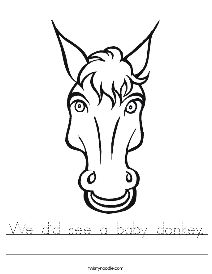 We did see a baby donkey. Worksheet