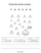 How many flies Handwriting Sheet