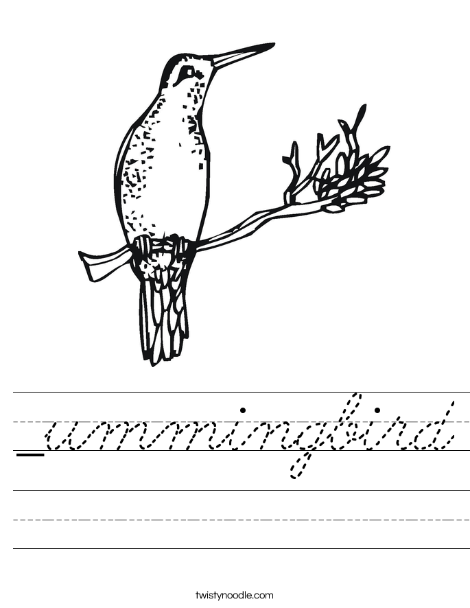 _ummingbird Worksheet
