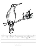 H is for hummingbird. Worksheet