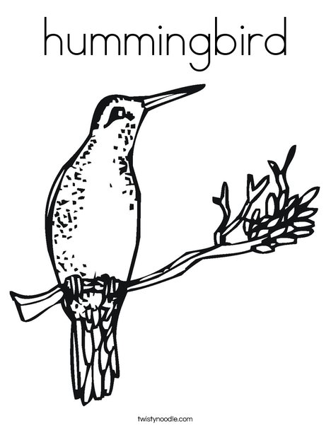 hummingbird coloring page twisty noodle