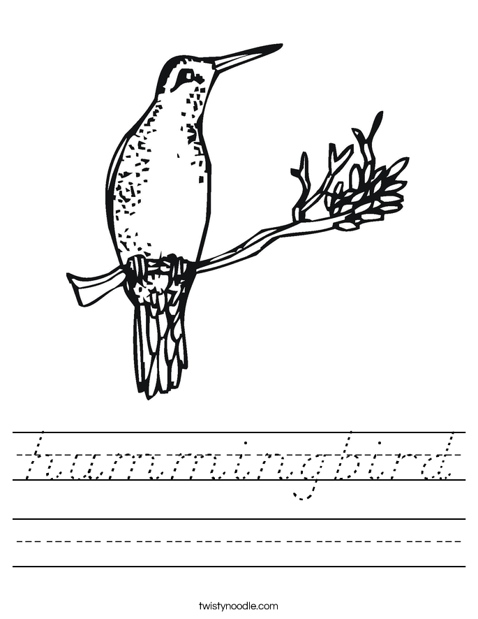 hummingbird Worksheet