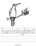 hummingbird Worksheet