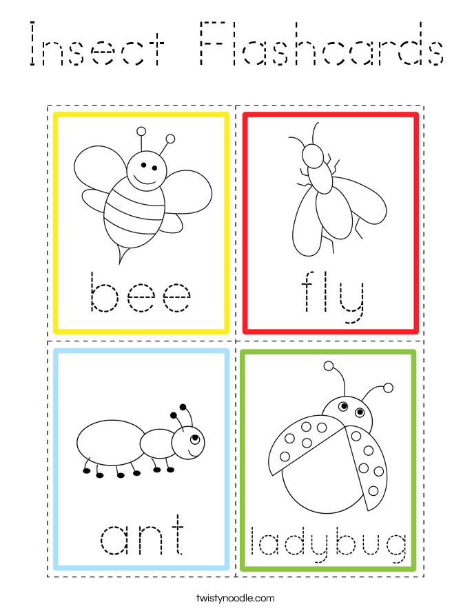 Insect Flashcards Coloring Page