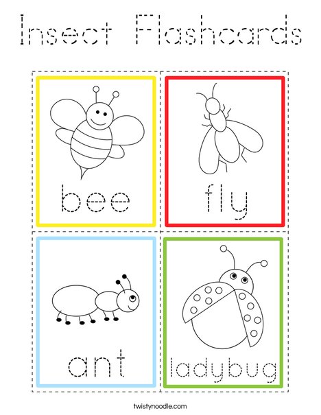 Insect Flashcards Coloring Page