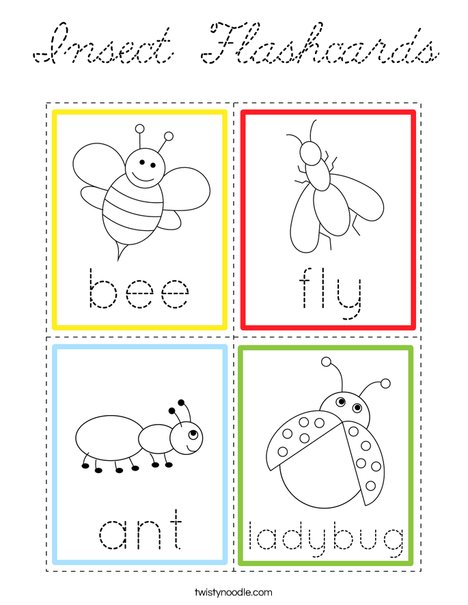 Insect Flashcards Coloring Page