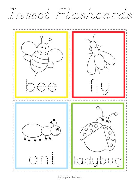 Insect Flashcards Coloring Page