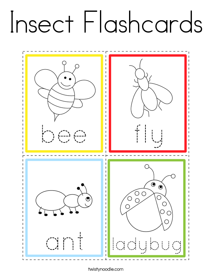 Insect Flashcards Coloring Page