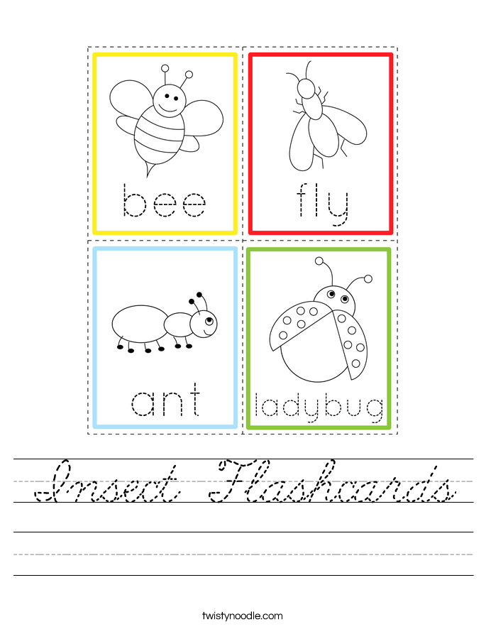 Insect Flashcards Worksheet