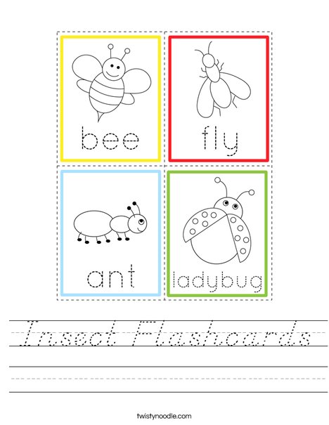 Insect Flashcards Worksheet