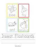 Insect Flashcards Worksheet