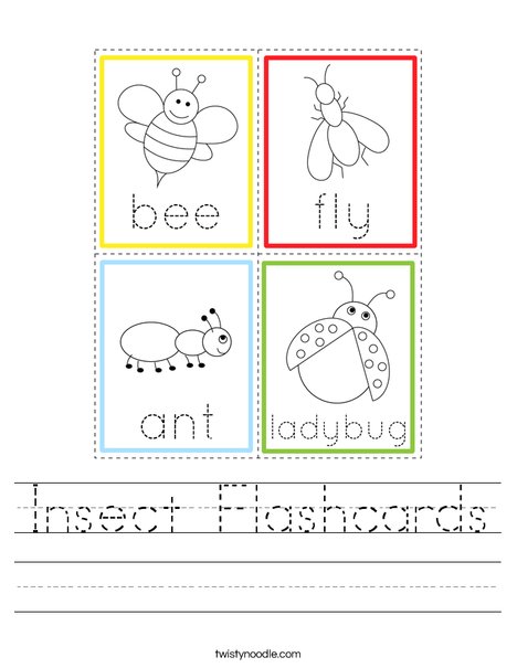 Insect Flashcards Worksheet