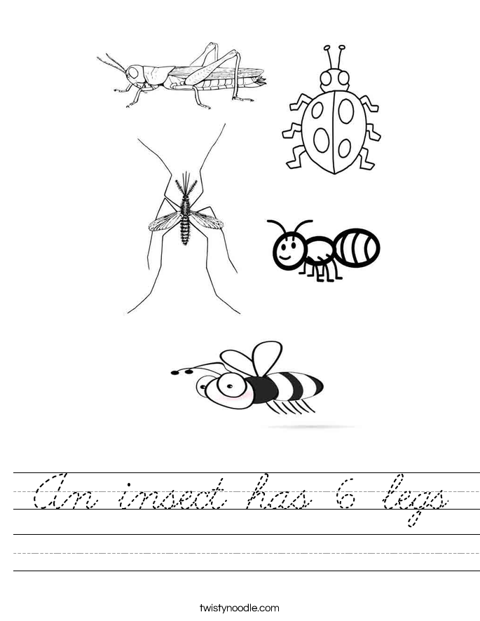 An insect has 6 legs Worksheet