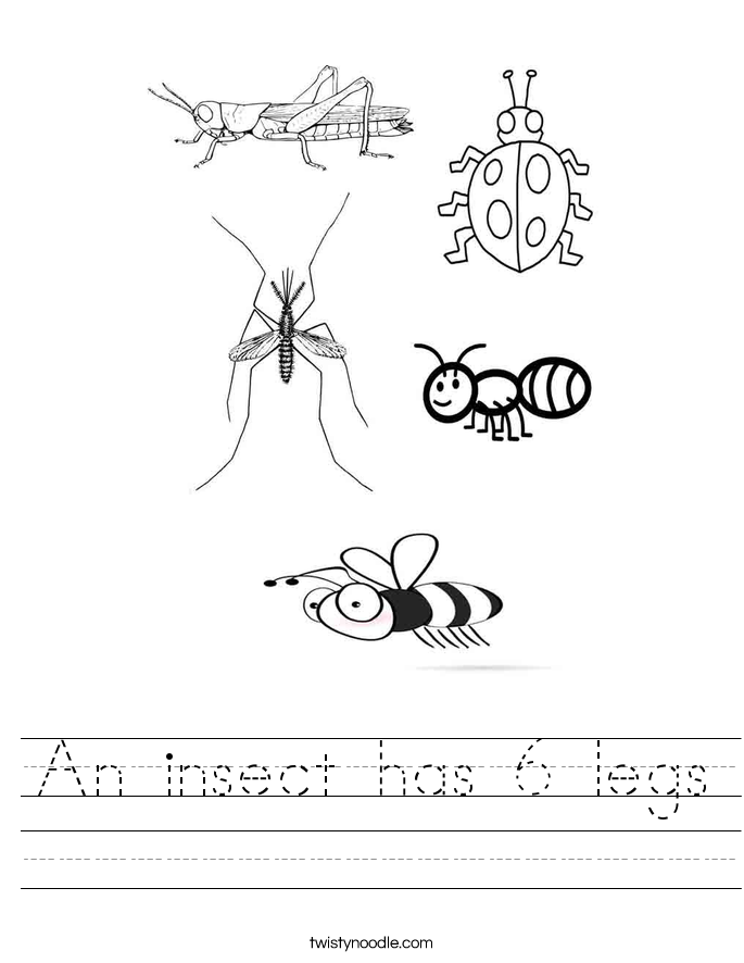 an-insect-has-6-legs-worksheet-twisty-noodle