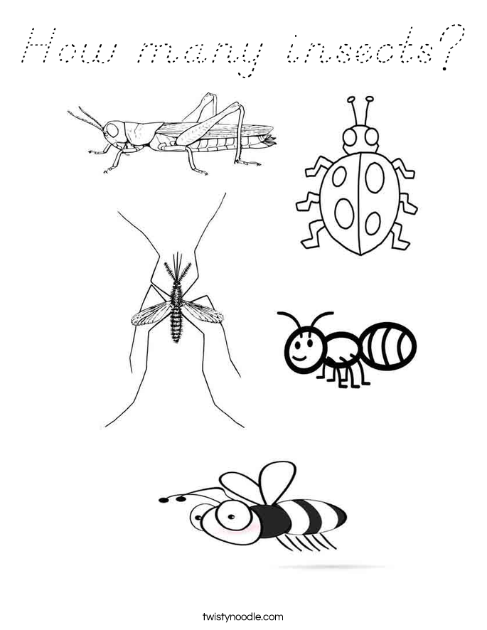 How many insects? Coloring Page