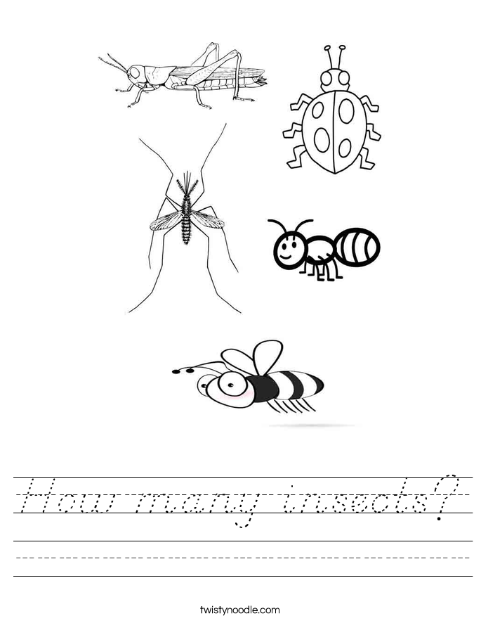 How many insects? Worksheet