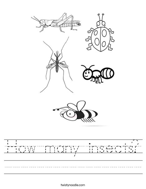 How many insects Worksheet - Twisty Noodle