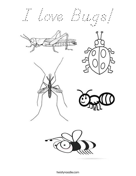 Insects Coloring Page