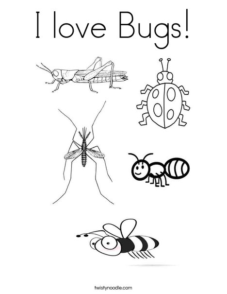 Insects Coloring Page