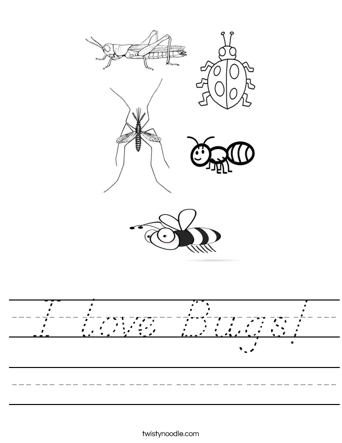 I love Bugs! Worksheet