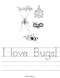 I love Bugs! Worksheet