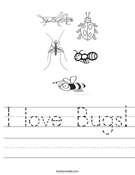 Insects Worksheet