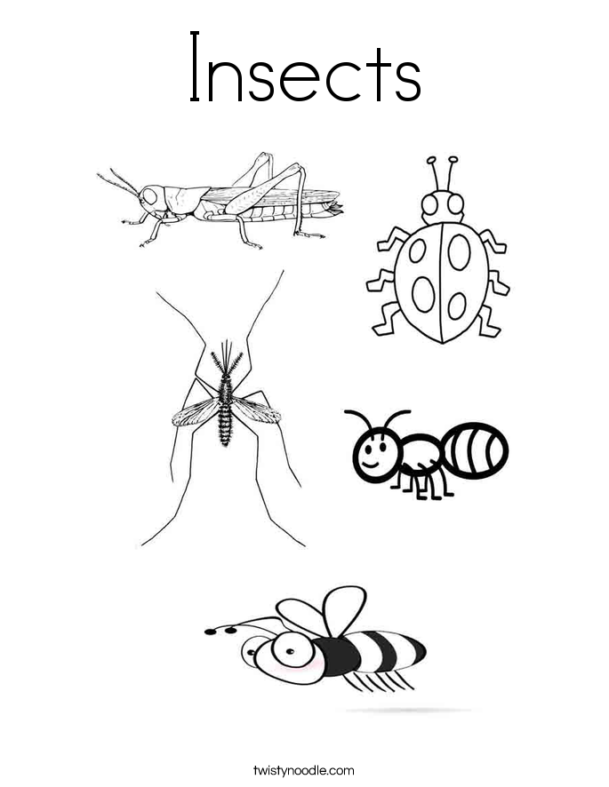 Download Insects Coloring Page - Twisty Noodle