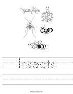 Insects Handwriting Sheet