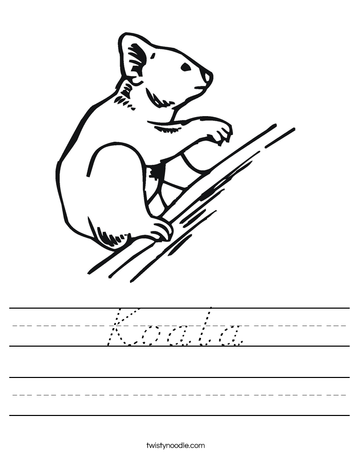 Koala Worksheet