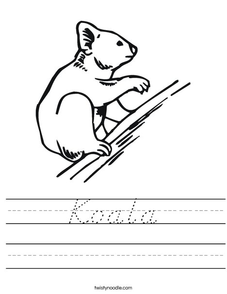 Koala Bear on Branch Worksheet