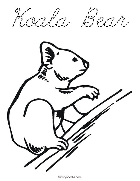 Koala Bear on Branch Coloring Page