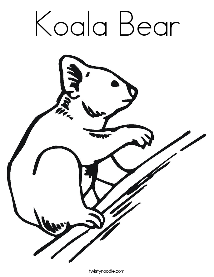 koala bear coloring page twisty noodle