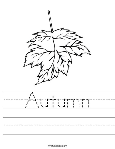 Leaf Worksheet