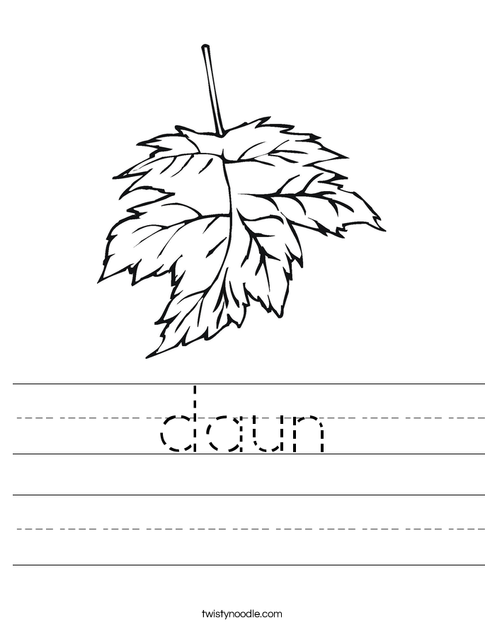 daun Worksheet