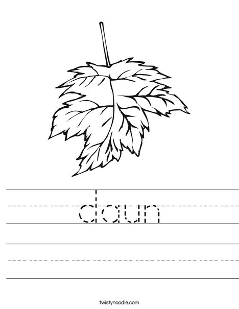 Leaf Worksheet