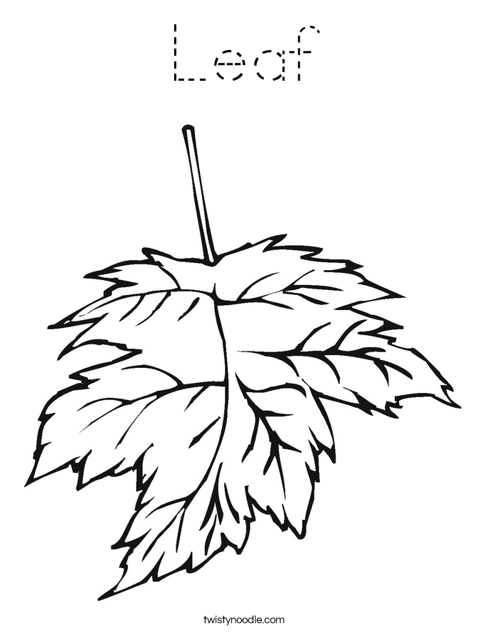 Leaf Coloring Page - Tracing - Twisty Noodle