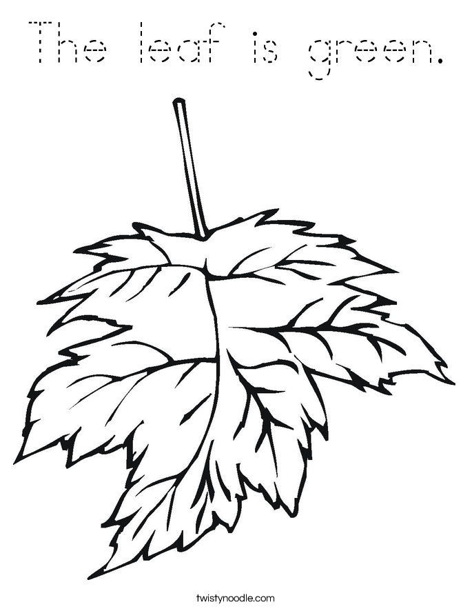 The leaf is green. Coloring Page