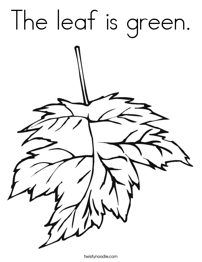 The leaf is green. Coloring Page