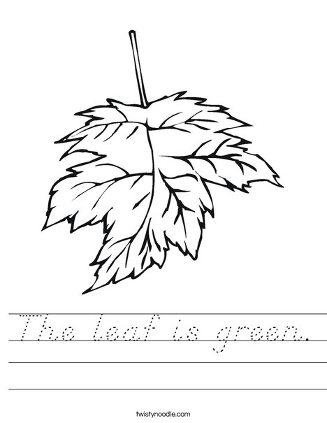 Leaf Worksheet