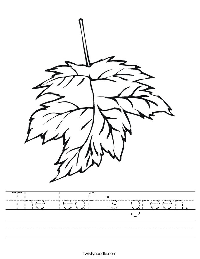 The leaf is green. Worksheet