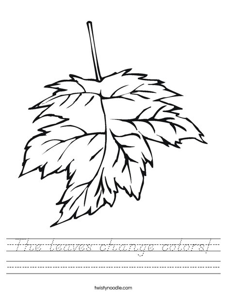 Leaf Worksheet