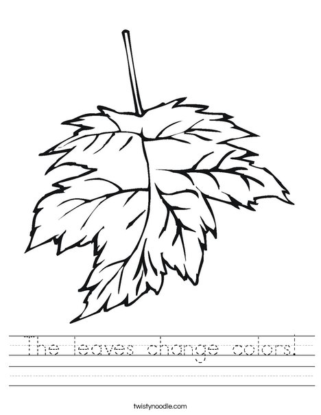 Leaf Worksheet