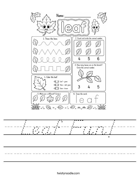 Leaf Fun! Worksheet