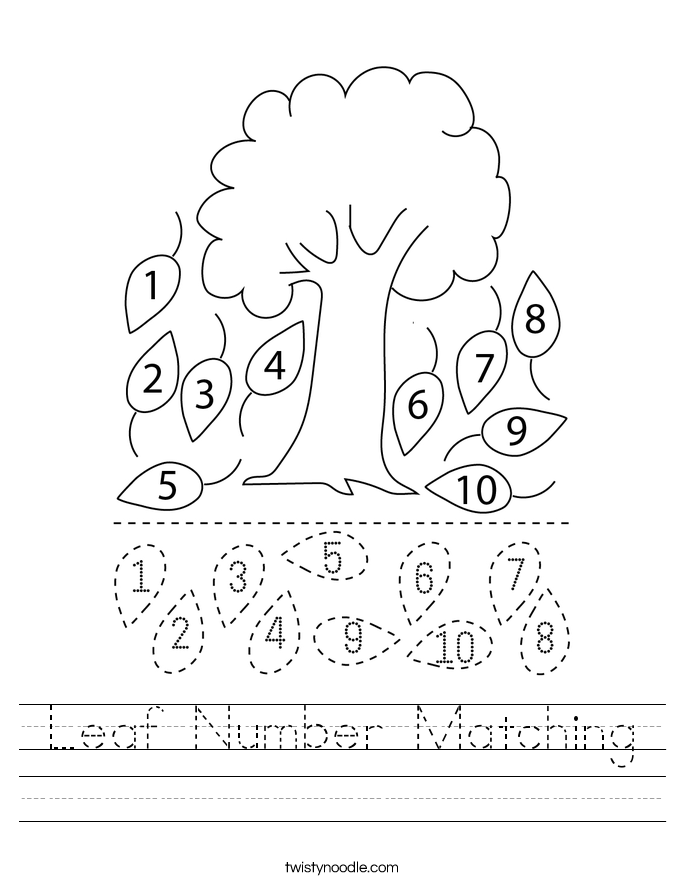 Leaf Number Matching Worksheet