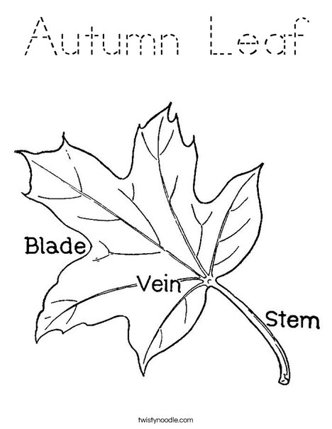 Leaf with Veins Coloring Page