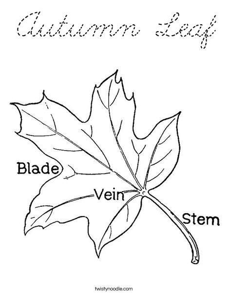 Leaf with Veins Coloring Page
