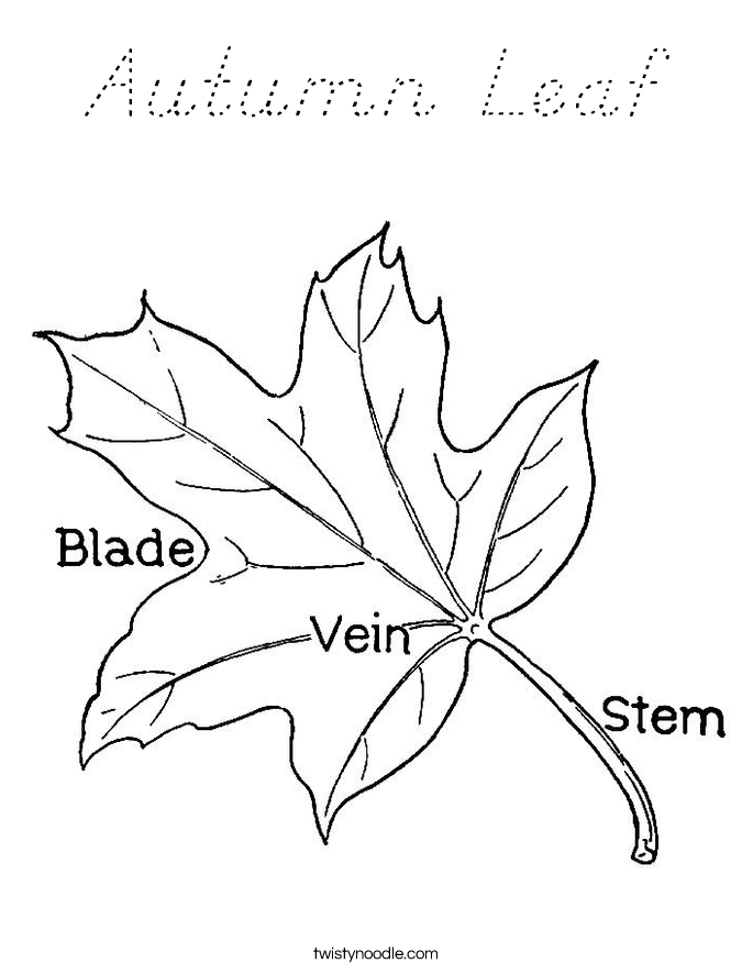 Autumn Leaf Coloring Page