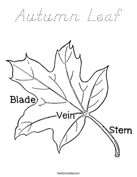 Leaf with Veins Coloring Page