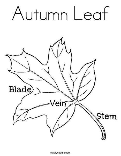 Leaf with Veins Coloring Page