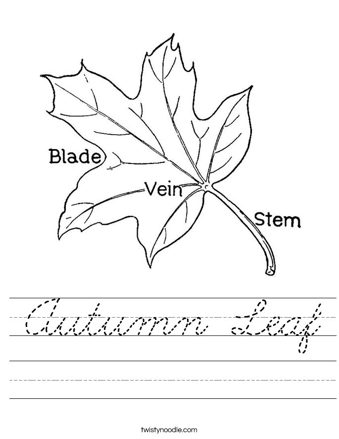 Autumn Leaf Worksheet